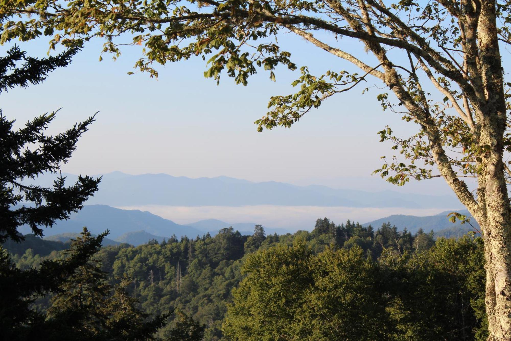 Stairway To Heaven, Breathtaking Mtn Views Indoor Pool & Hot Tub Lägenhet Gatlinburg Exteriör bild